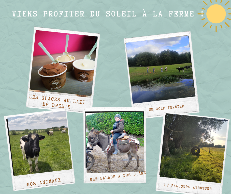 La Ferme du Planois à Braine-Le-Comte - Ferme - Wekty