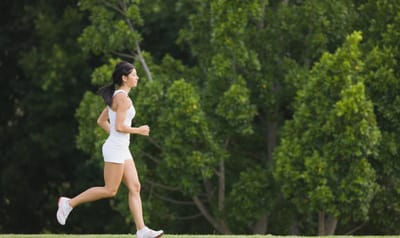 Trail des Chevreuils en Belgique - Wekty