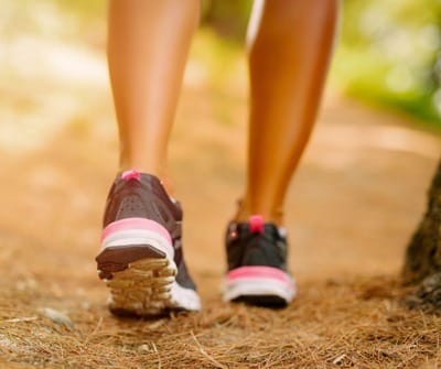 Balade ornithologique au bois de Laurensart dans Brabant wallon - Nature - Wekty