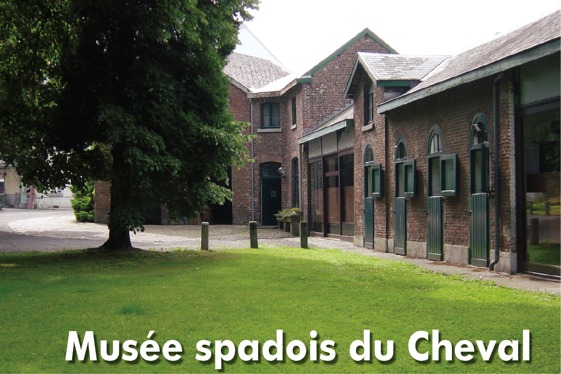 Musée spadois du Cheval à Spa - Musée - Wekty
