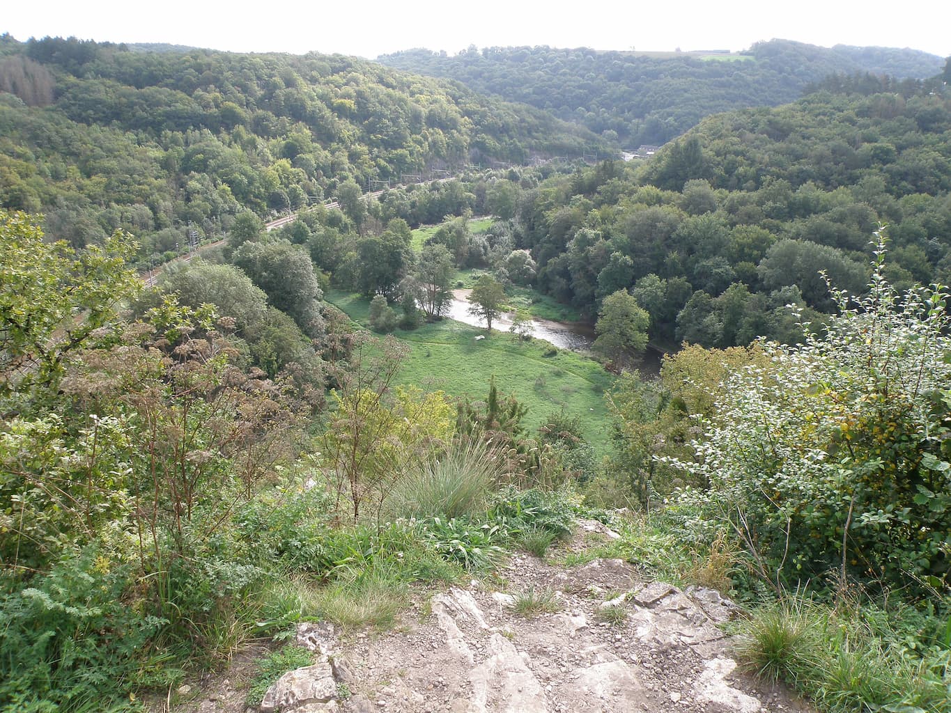Réserve naturelle de Furfooz à Dinant - Nature - Wekty