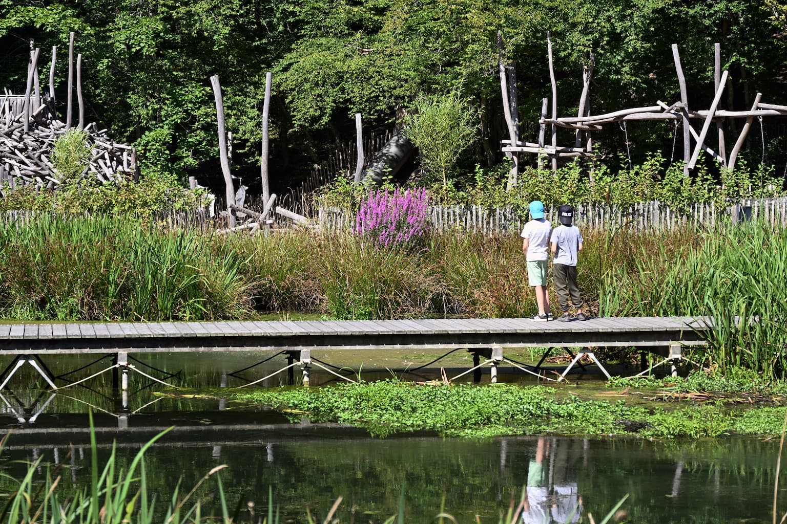 Domaine provincial de Chevetogne à Chevetogne - Nature - Wekty