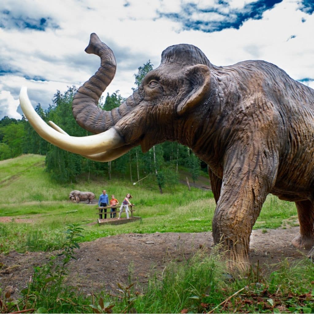 Préhistomuseum en Belgique - Wekty