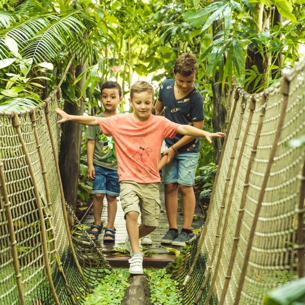 Jardin botanique de Meise en Belgique - Wekty