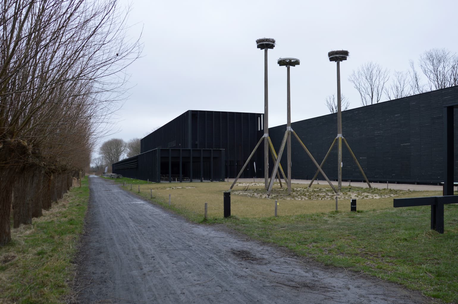 Parc naturel du Zwin à Knokke - Nature - Wekty