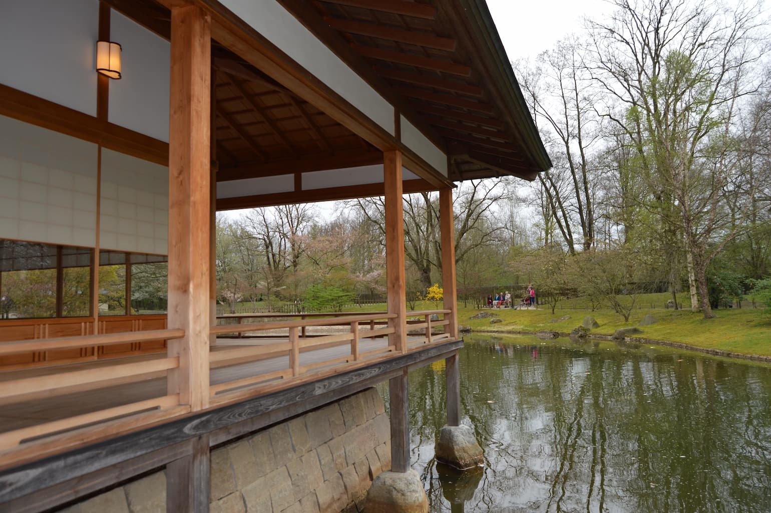 Jardin japonais de Hasselt à Hasselt - Nature - Wekty
