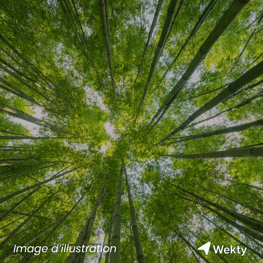 Parc Louise Marie en Belgique - Wekty