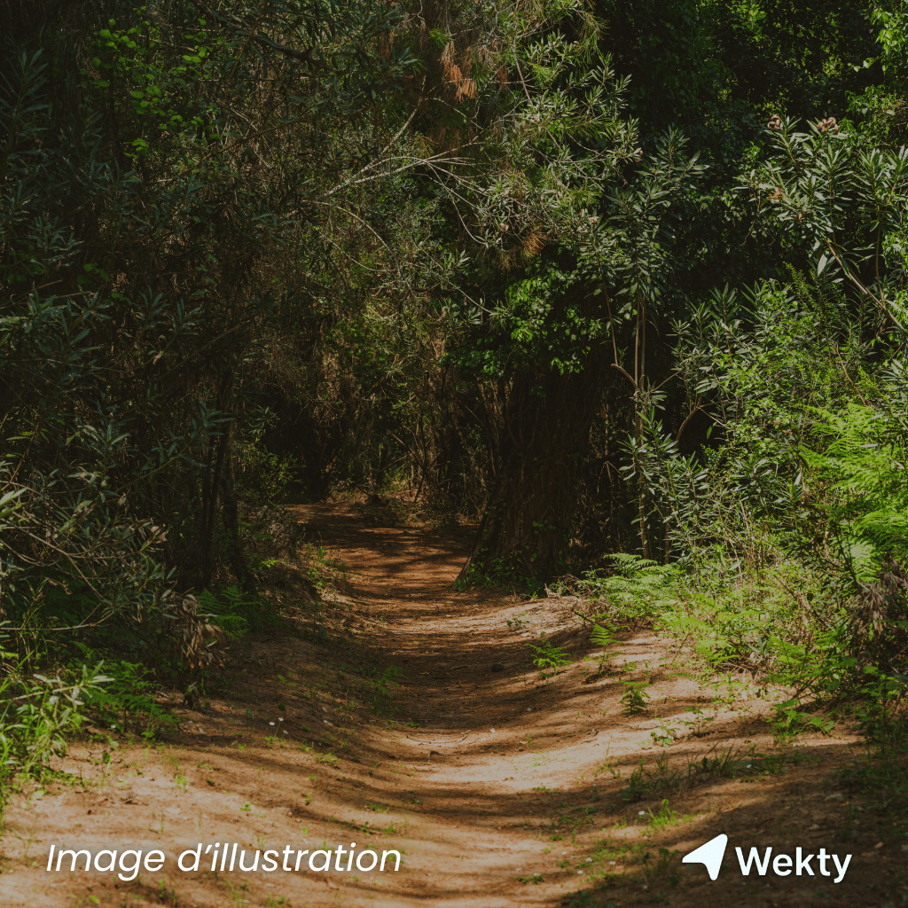 Parc naturel des Deux Ourthes en Belgique - Wekty