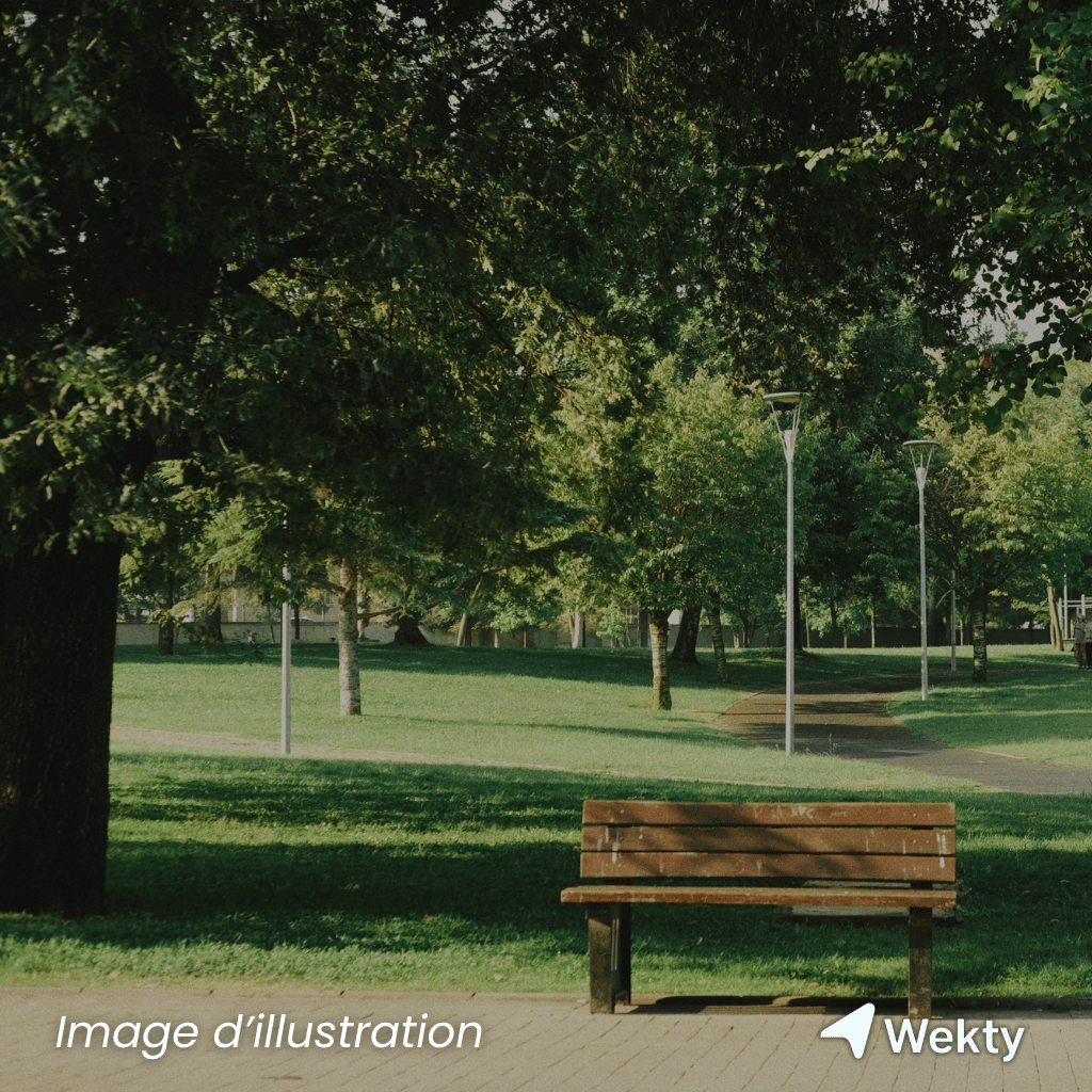 Domaine Provincial de Mirwart à Saint-Hubert - Nature - Wekty