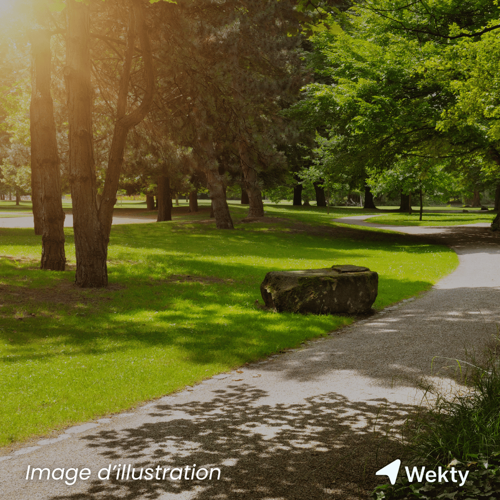 Parc à Gibier de Saint-Hubert à Saint-Hubert - Nature - Wekty