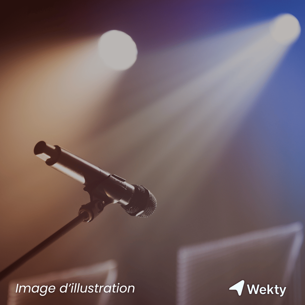 Soirée karaoké à la maison - Wekty