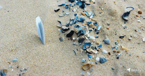 Idées de sorties à Blankenberge